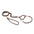 Nylon Martingale Leads (10in x 1/4in or 6mm)