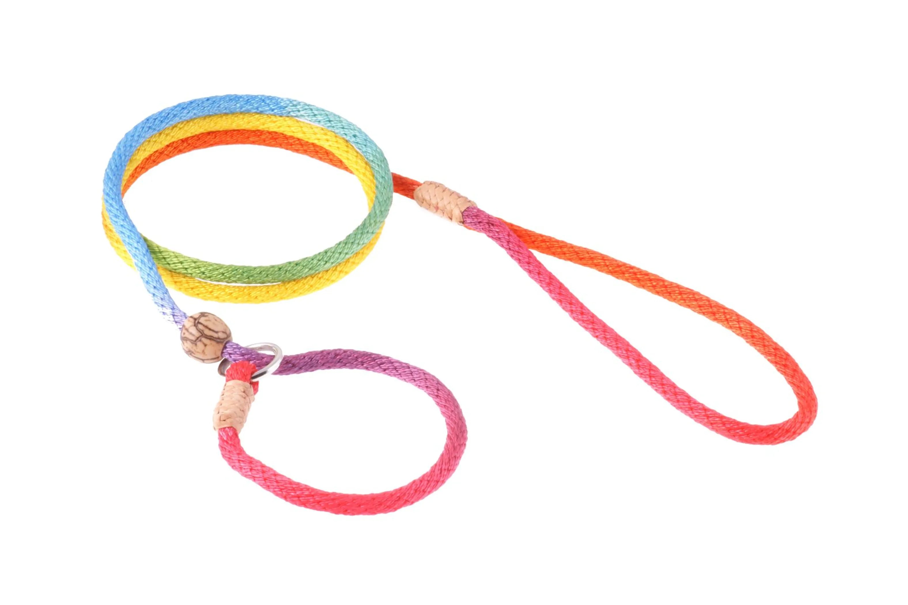Nylon Slip Lead With Stopper (4 ft  x 1/8in or 4mm)