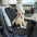 GOOPAWS Dog Front Car Seat Cover, Waterproof, Scratch Proof & Non Slip, Durable Pet Front Car Seat Cover for Trucks, SUV