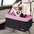 JESPET & GOOPAWS Dog Booster Seats for Cars, Portable Dog Car Seat Travel Carrier with Seat Belt for 24lbs Pets