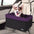 JESPET & GOOPAWS Dog Booster Seats for Cars, Portable Dog Car Seat Travel Carrier with Seat Belt for 24lbs Pets