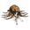 ZZ Fuzzy Tarantula Costume