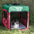 Guardian Gear Collapsible Crate