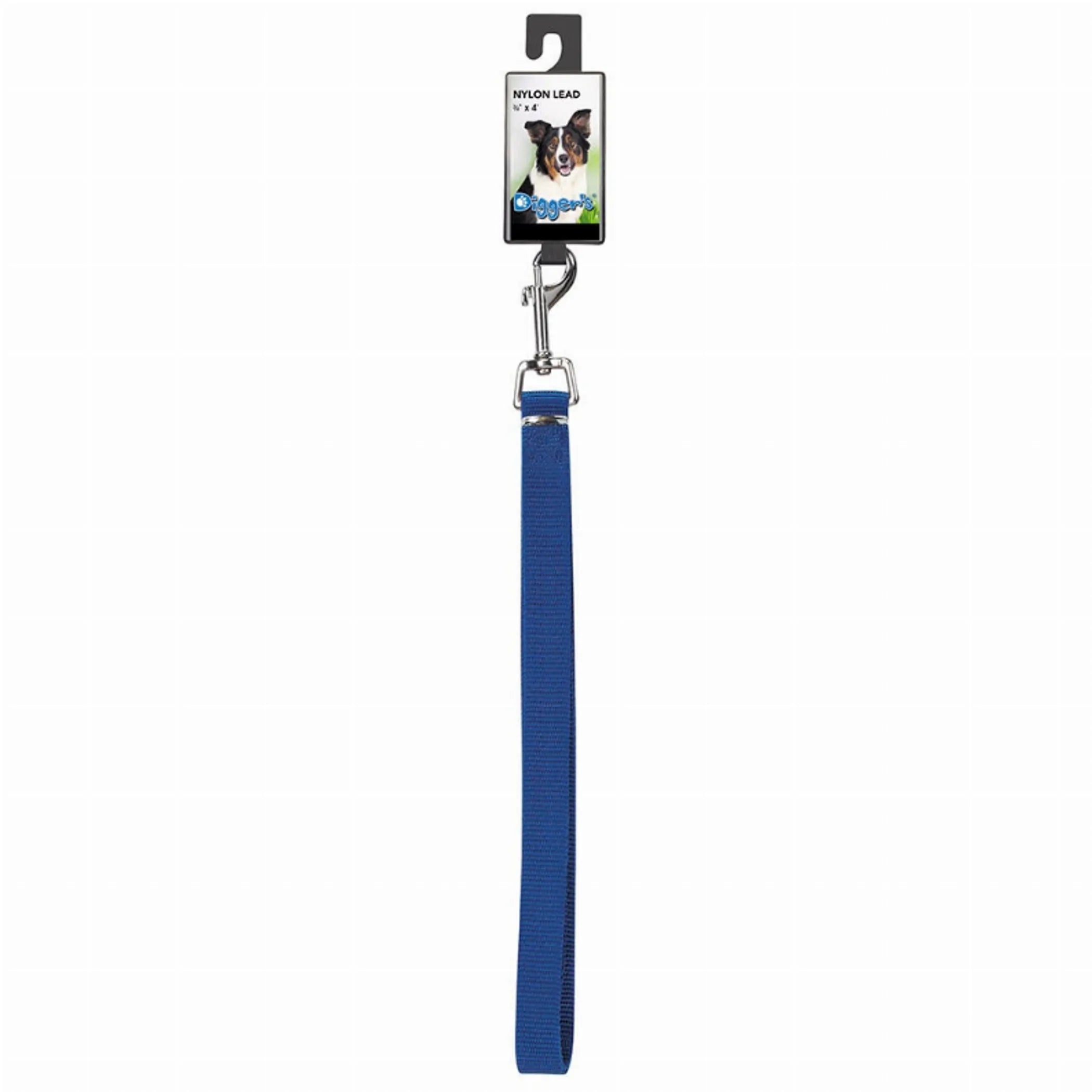 DGR 3/4in Nylon Lead 48in Blue