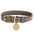 Dog Collar