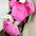 Matching Pet and Owner Clothing Set | Hoodie
