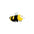 Mighty Jr Bug Bee
