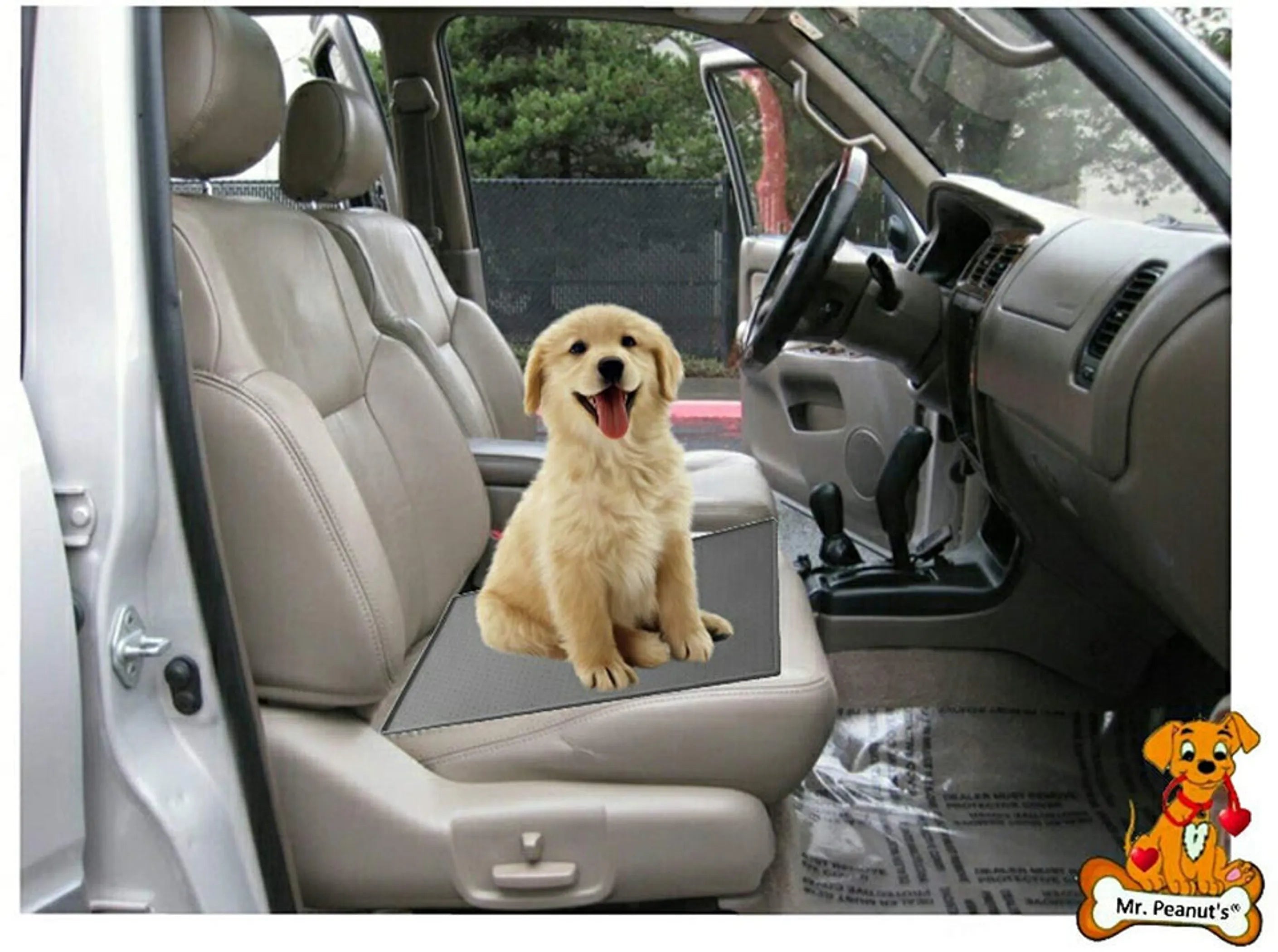 Silicone Pet Food Mat by Mr. Peanut's