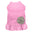 My Glam Camellia - Pack Of: 1
