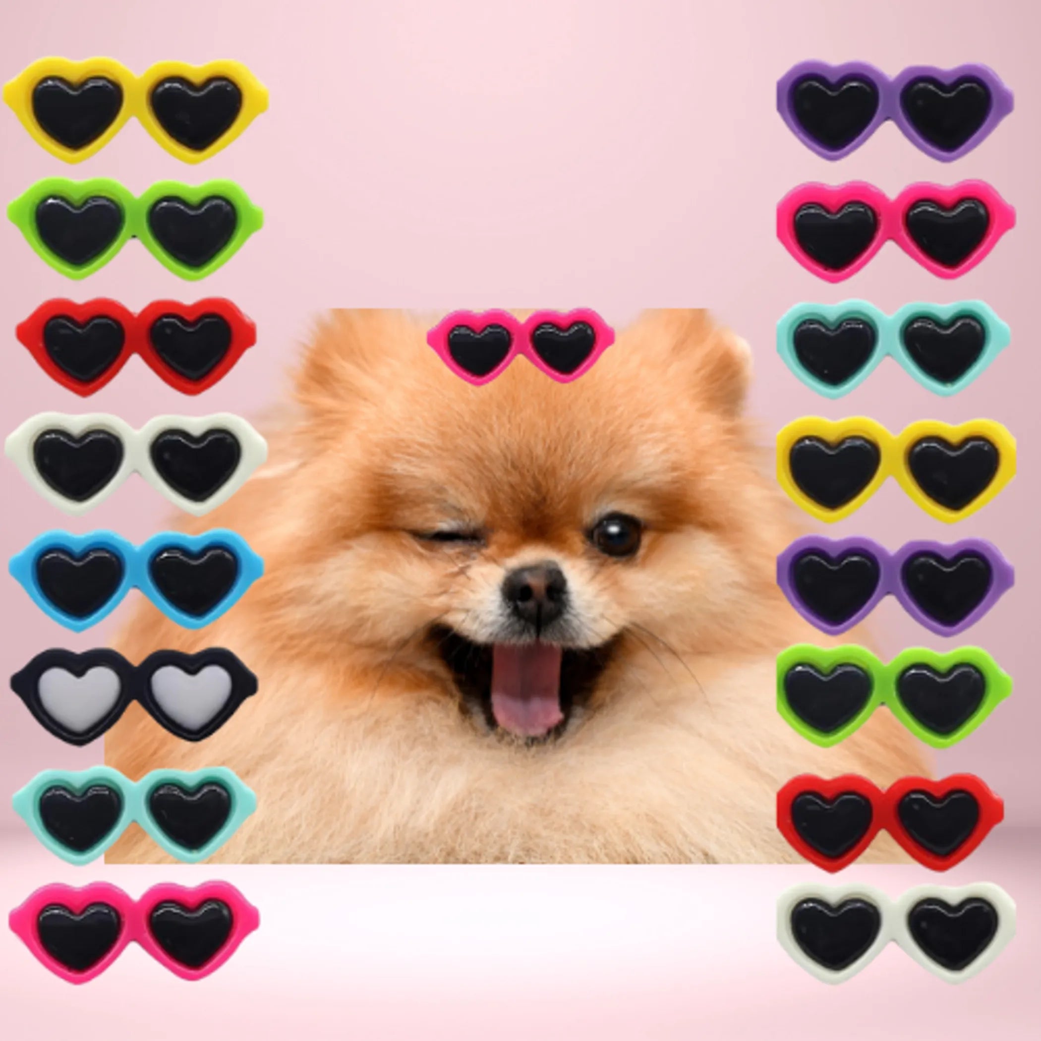 My Heart Shaped Sunnies- Dog Hair Clips