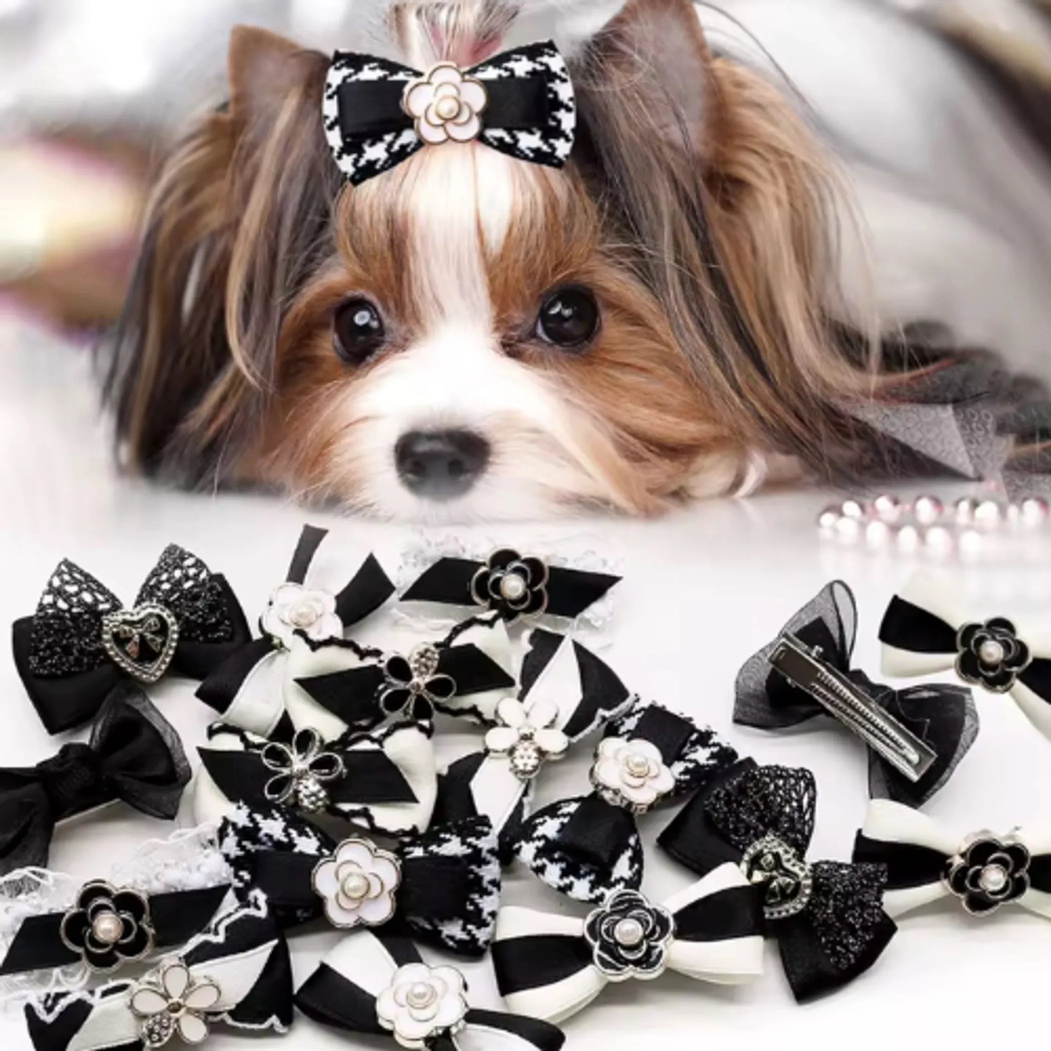 Maison gance Haute Couture Pet Bow Collection