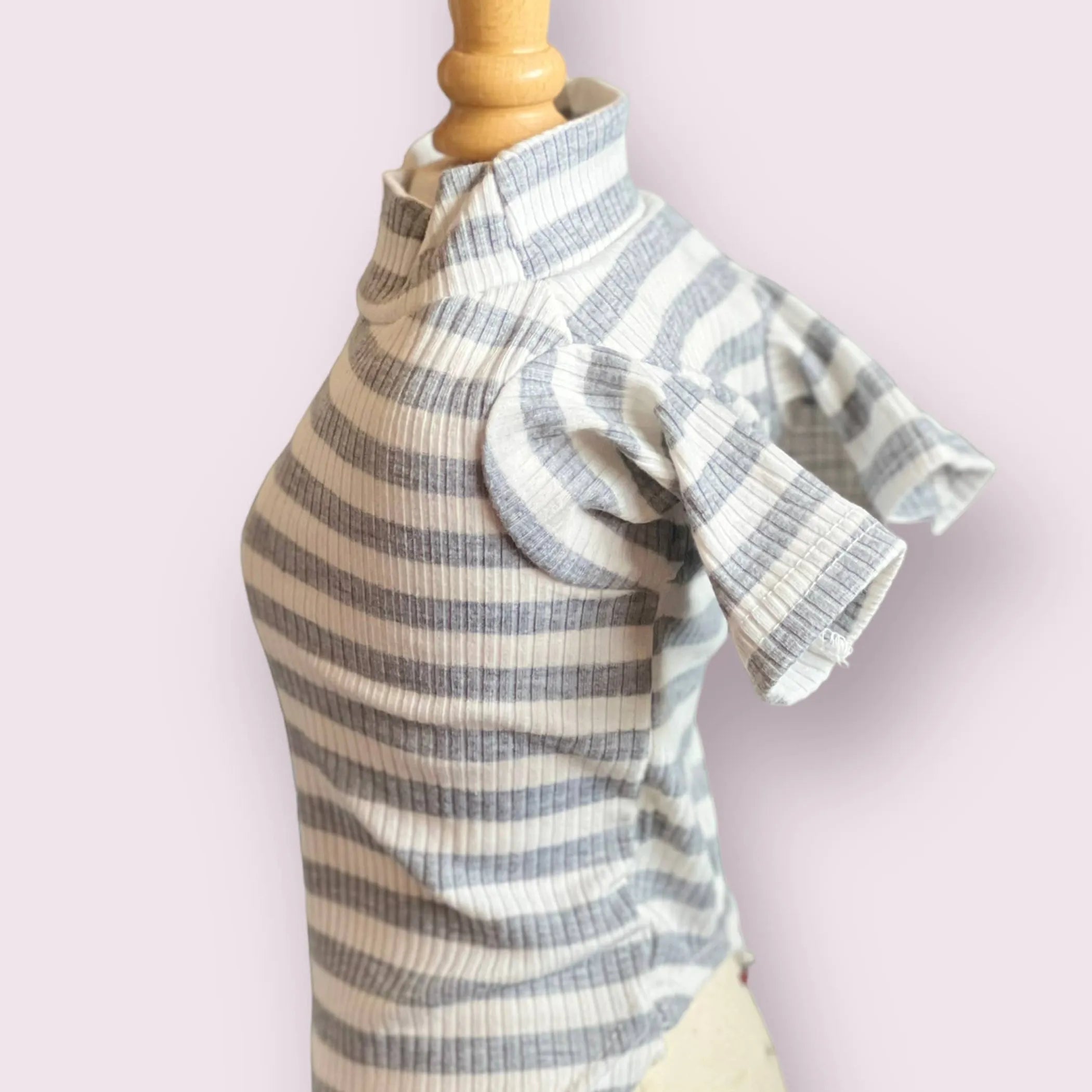 My Ice Cream Pullover- Dog Sweater