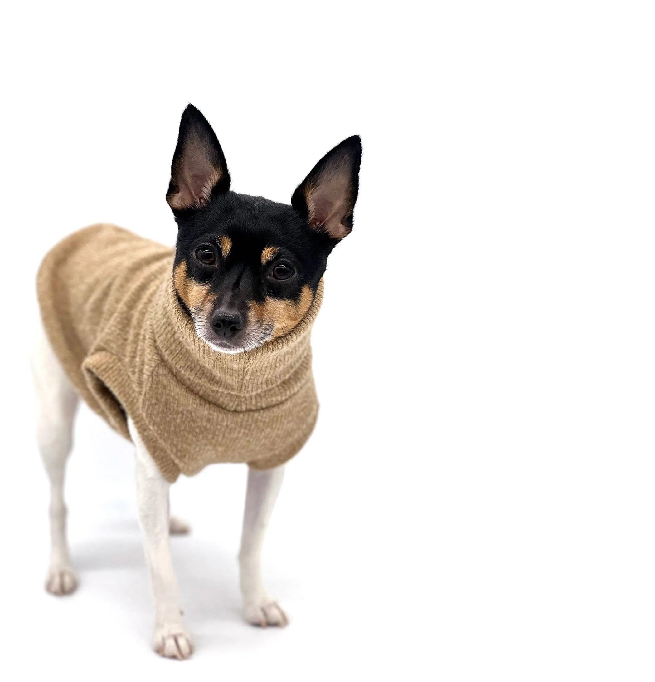 DCNY Cafe Latte Sweater