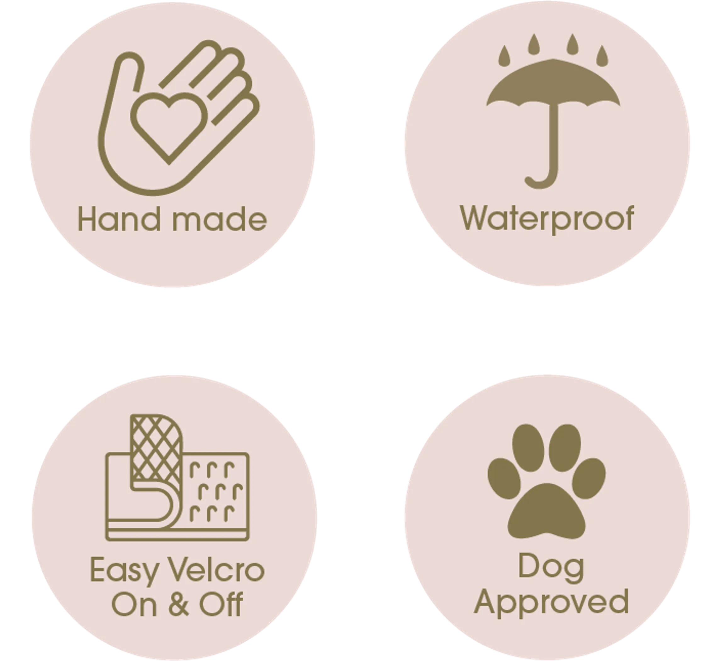 DCNY Belted Trench Coat