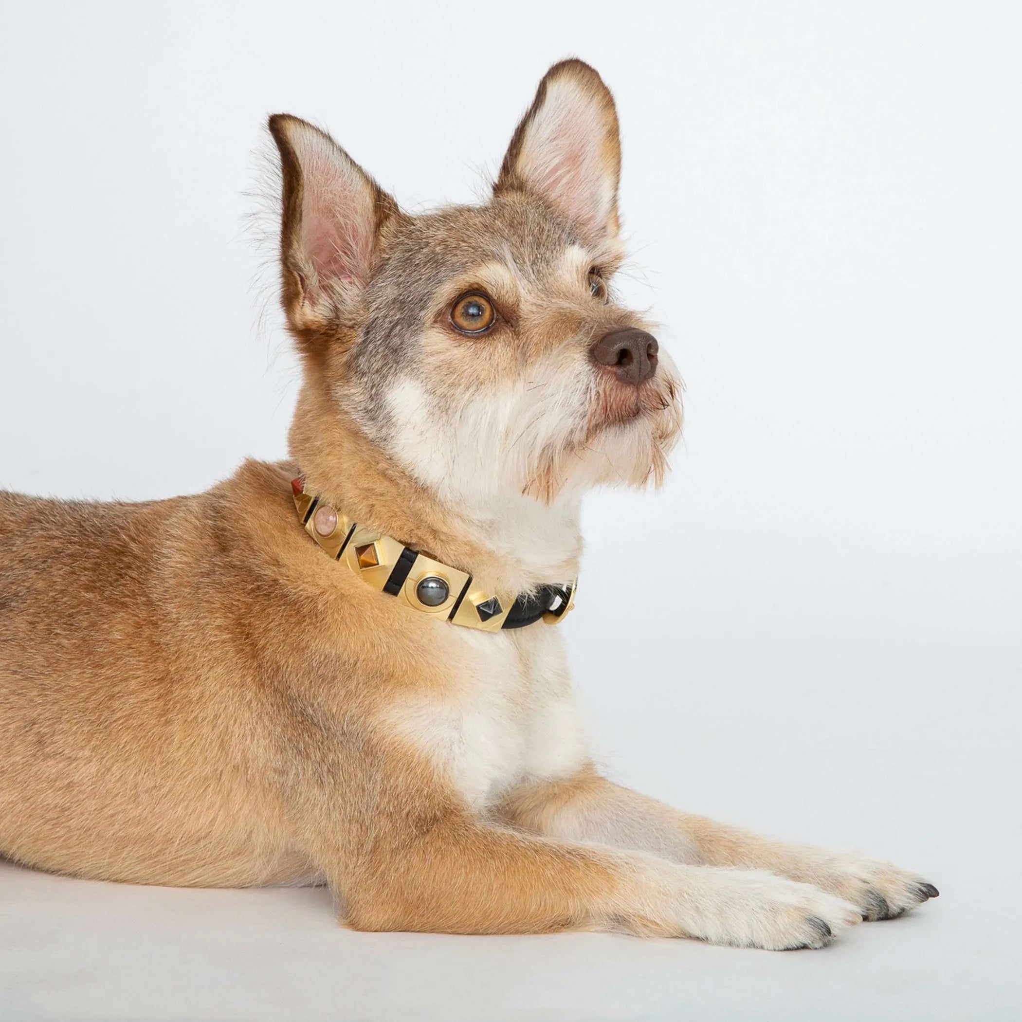 Onyx Moon Collar Charm