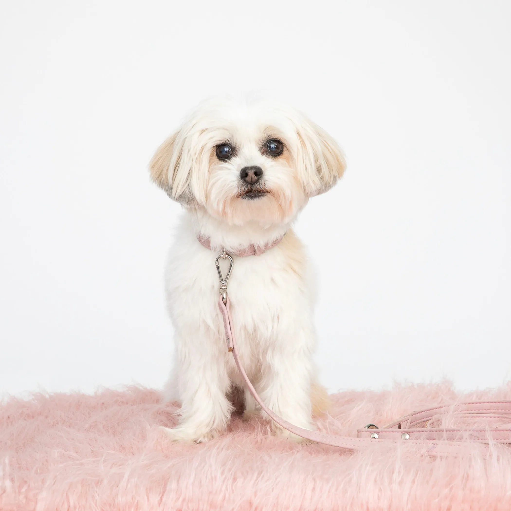 Love Pink Cork Leather Collar