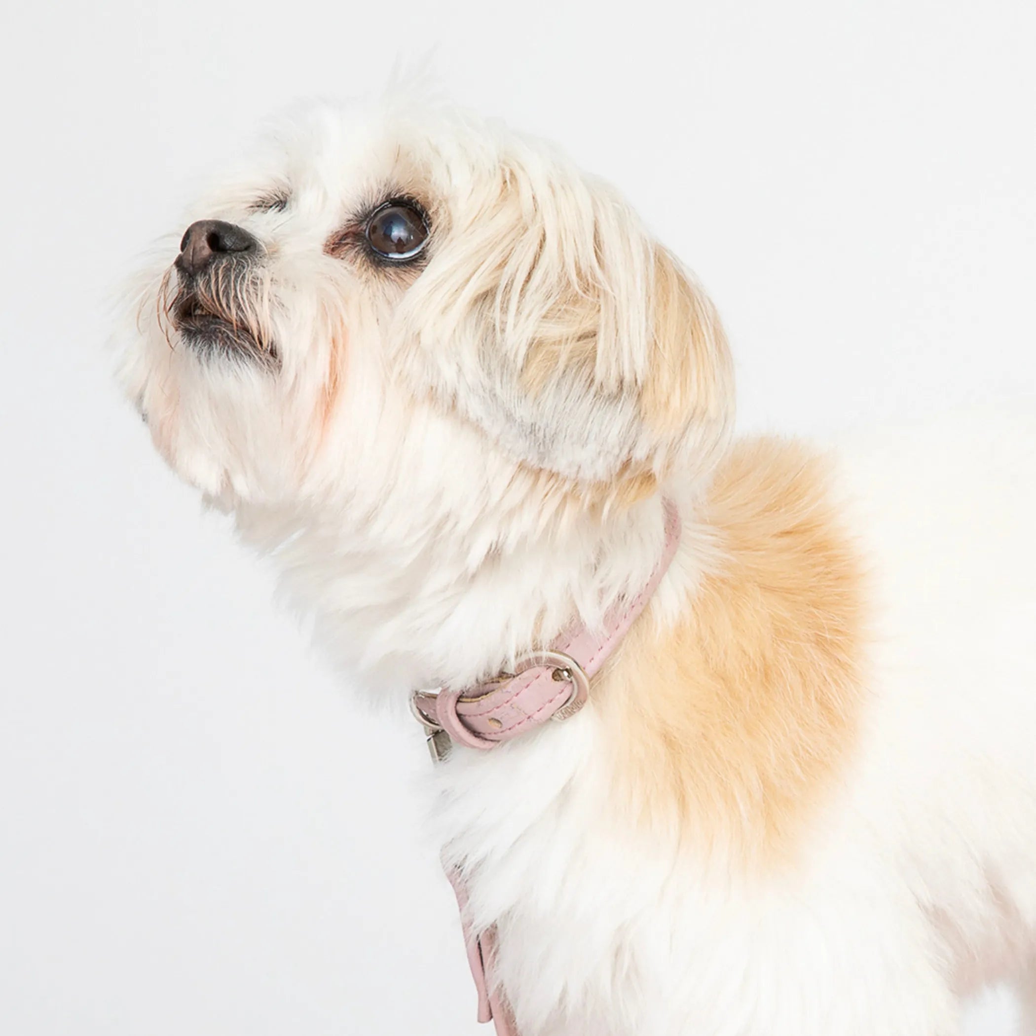 Love Pink Cork Leather Collar