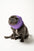 PET HOODZ DOG HOODIES FOR ANXIETY