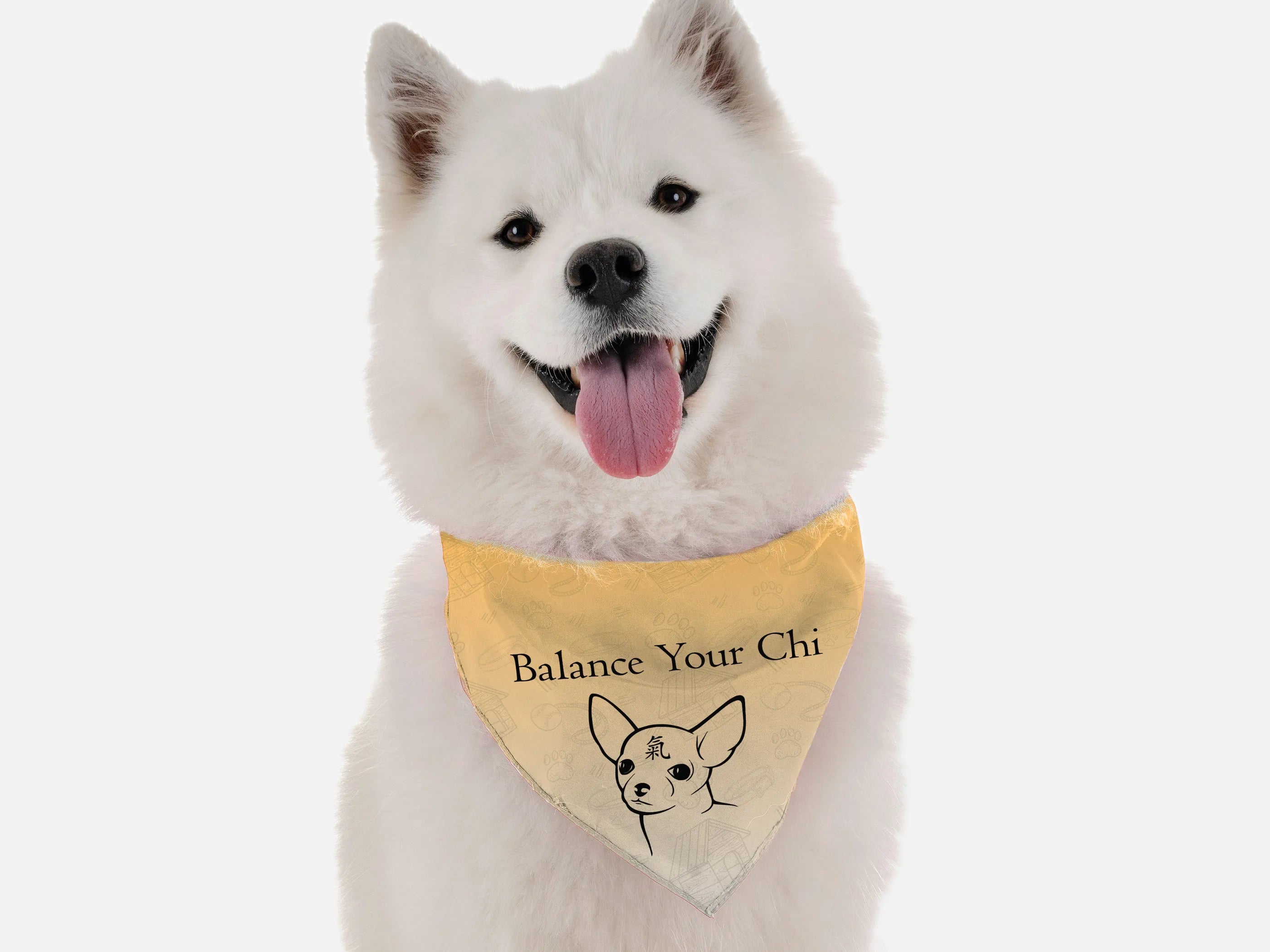 Balance Your Chi