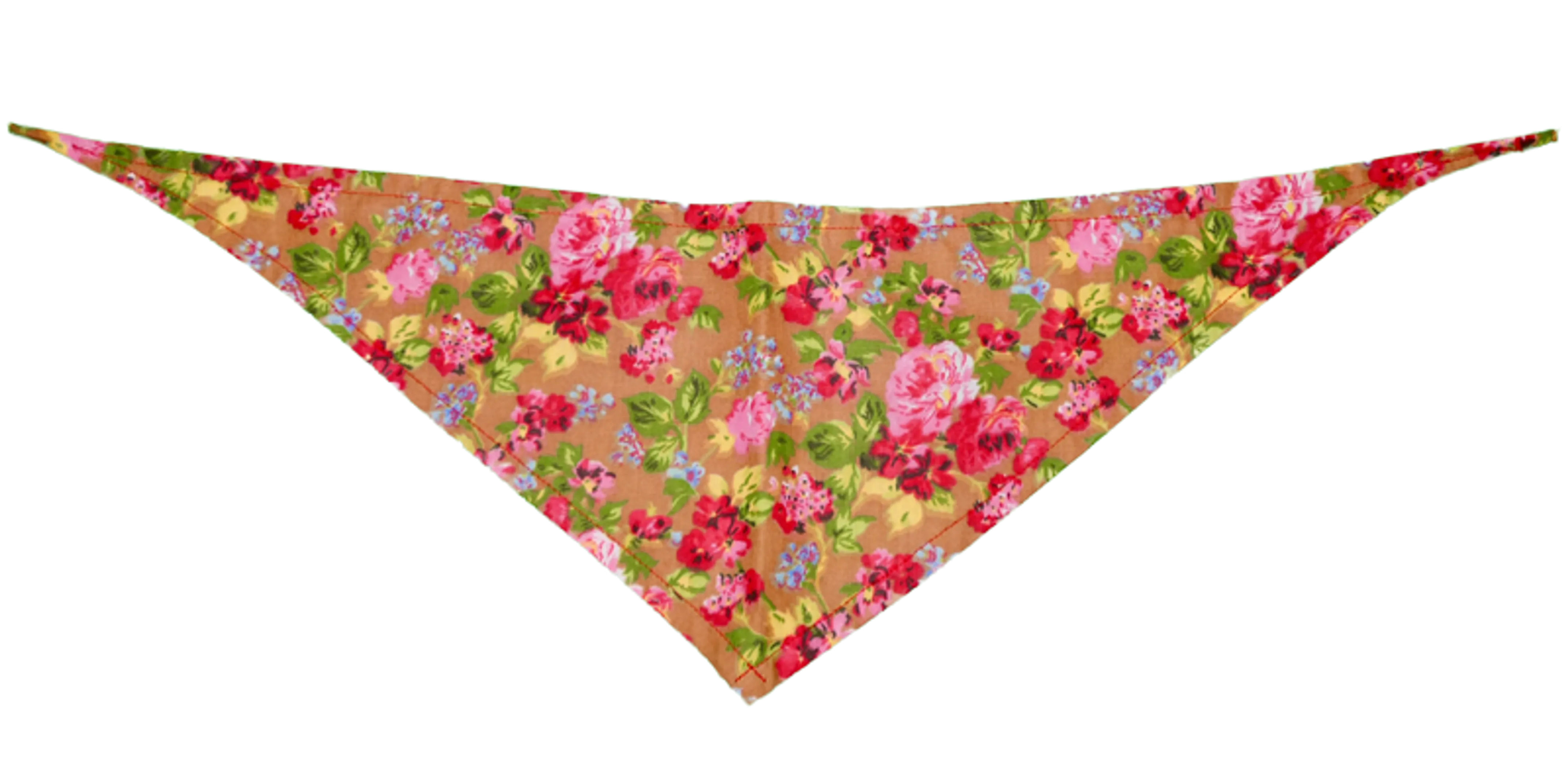 GG129FB Sand|Pets Ribbons