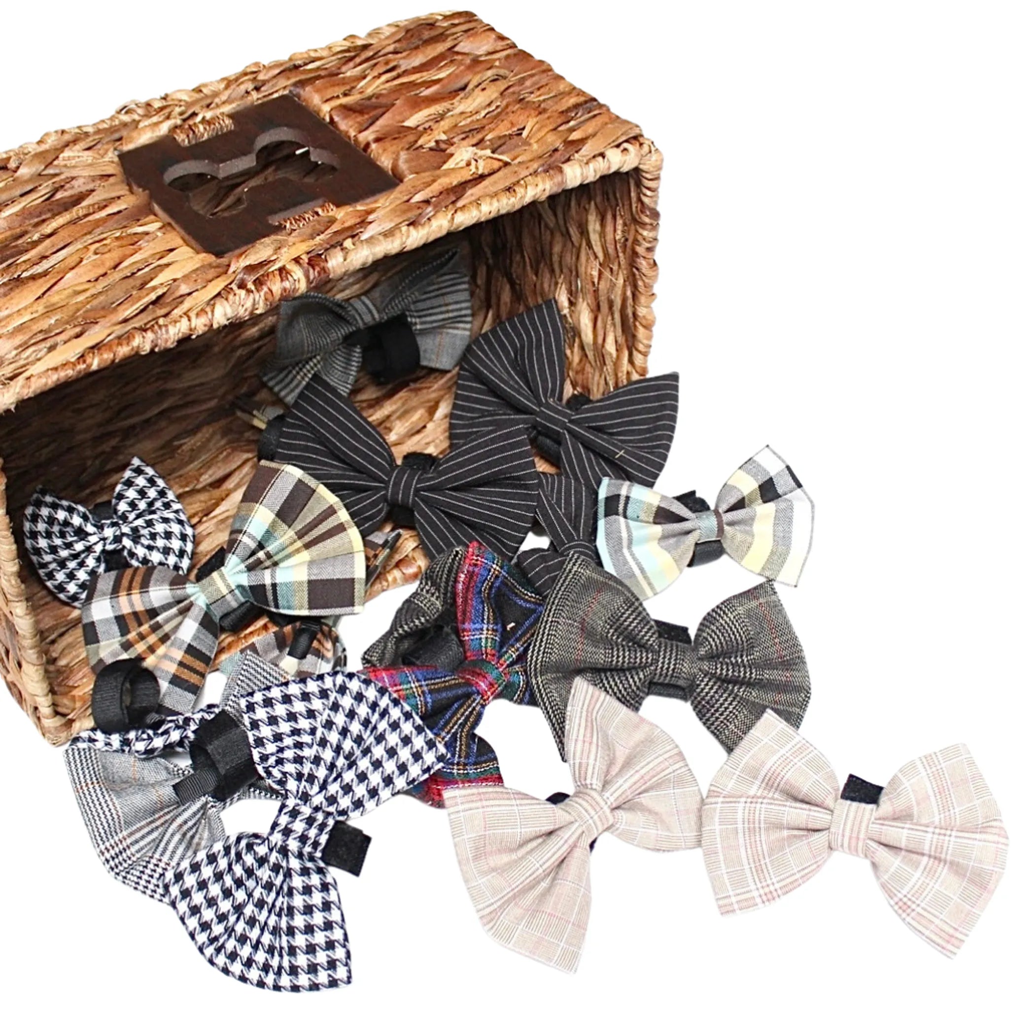 Boys Bowtie Budget Bundle|Pets Ribbons