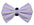 PR3006|Pets Ribbons