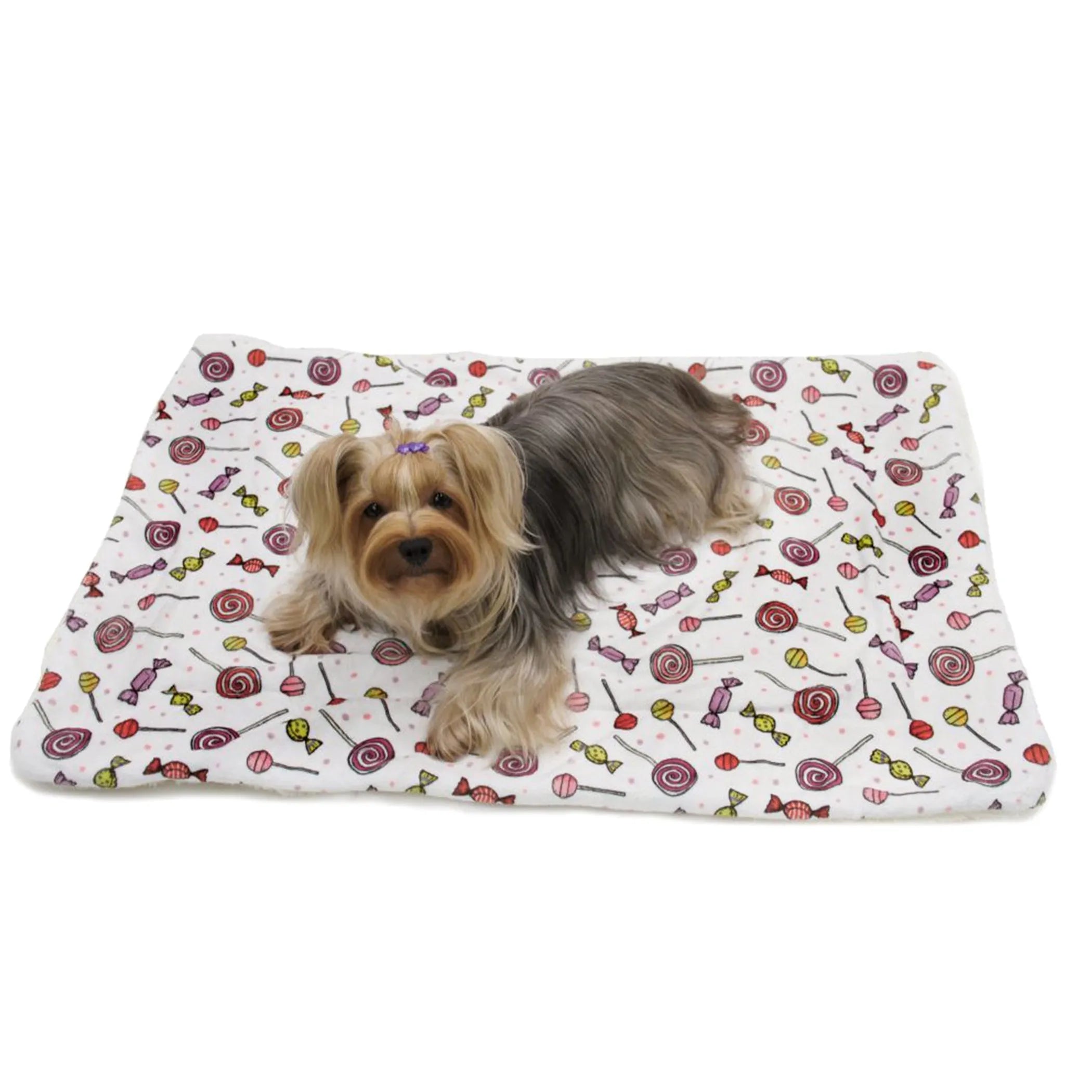 Ultra Soft Minky/Plush Sweet Candies Blanket