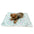 Ultra Plush Fluffy Clouds Blanket