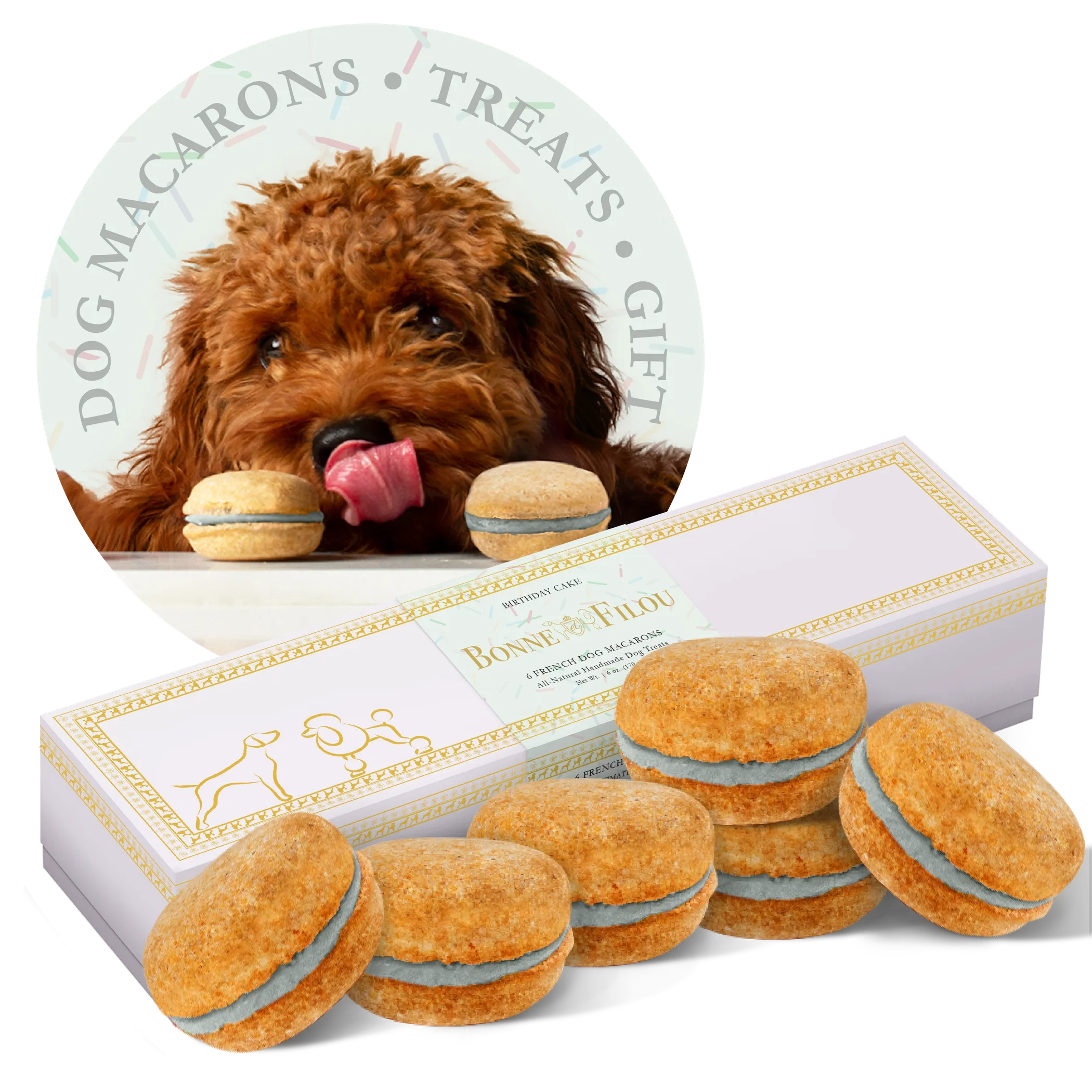 Dog Macarons - Box of 6 (Available in 12 Flavors)