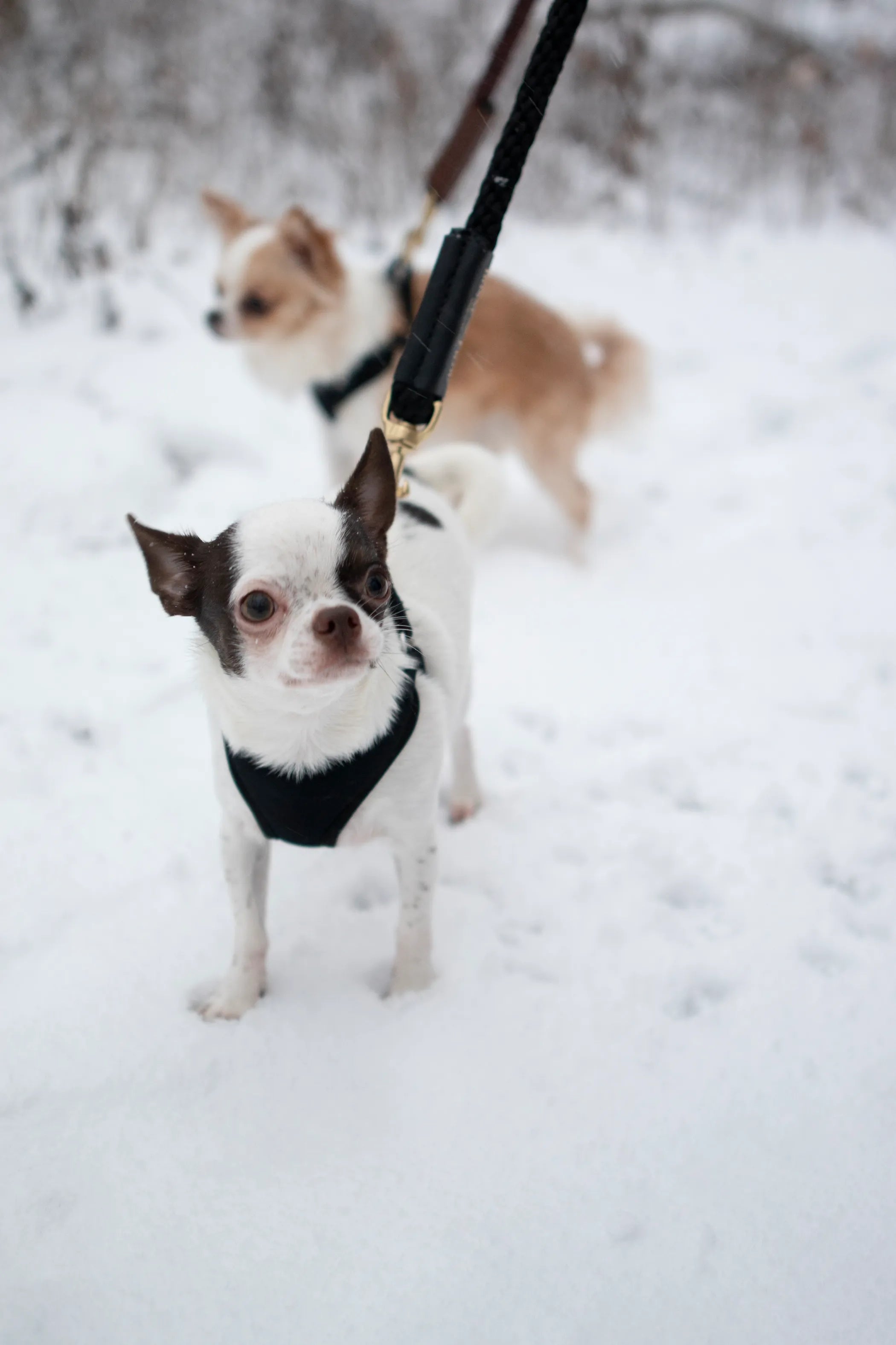 Shearling Fur Grip