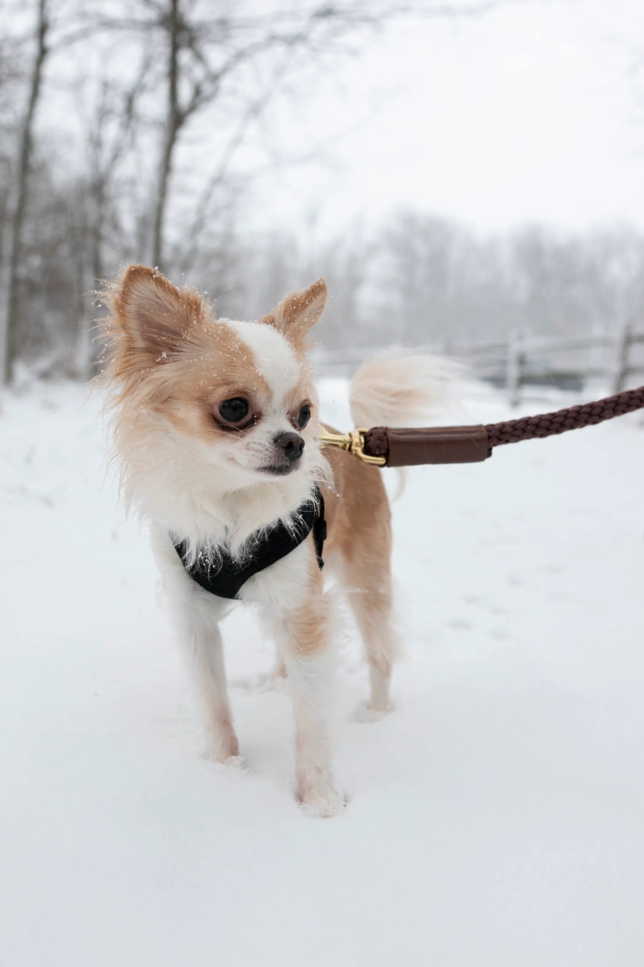 Shearling Fur Grip