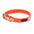 Play Glow Collar