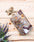 Kaiser's Favorites Dog Treats