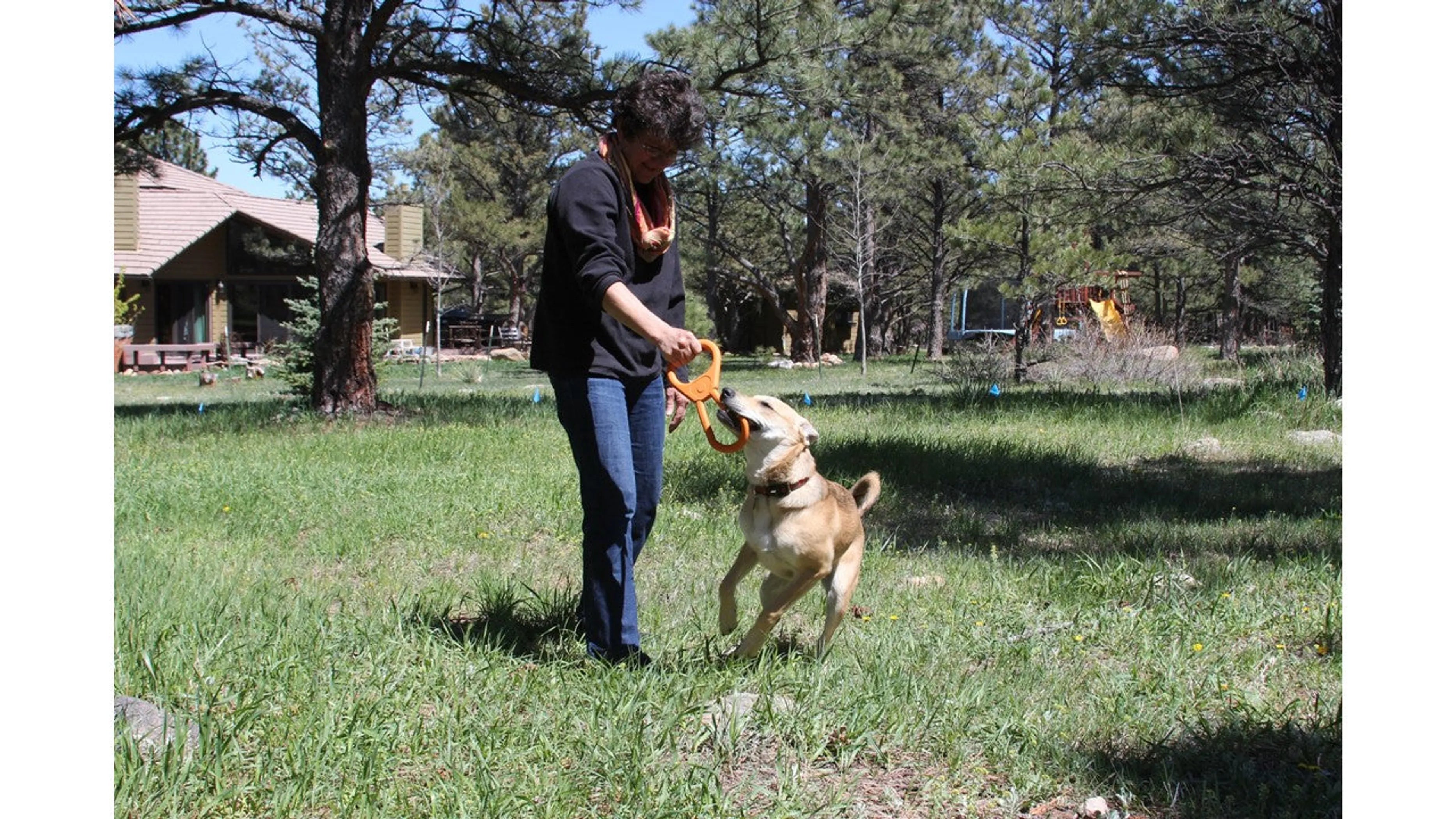 SP Pop Top Rubber Tug Toy for Interactive Play