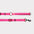 GF Pet Reflective Leash - EEZY-6