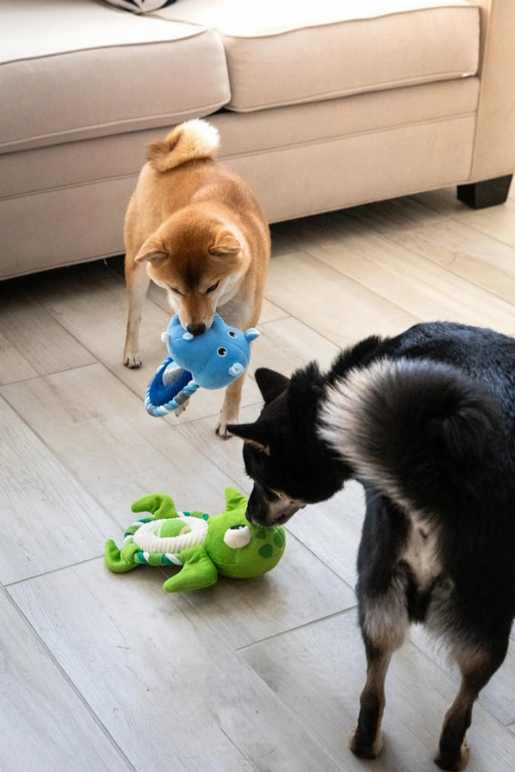 Hippy the Hippo Pet Toy