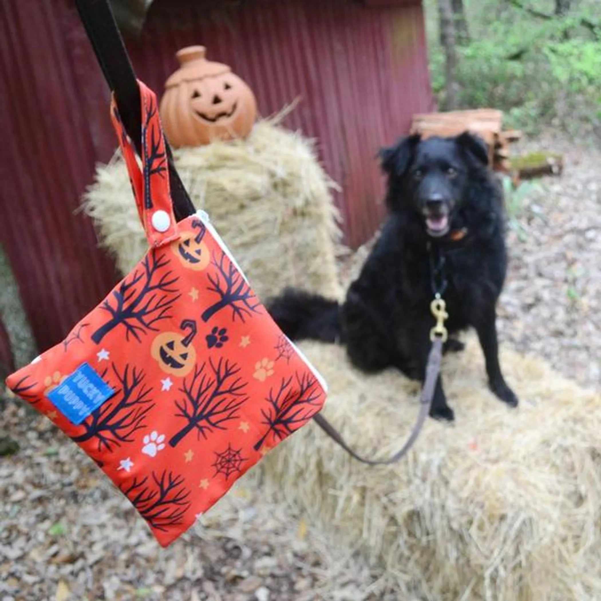 Halloween Yucky Puppy Poop Bag Carriers