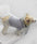 Doggy Hoodie