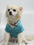 Doggy Hoodie