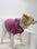 Doggy Hoodie French Terry